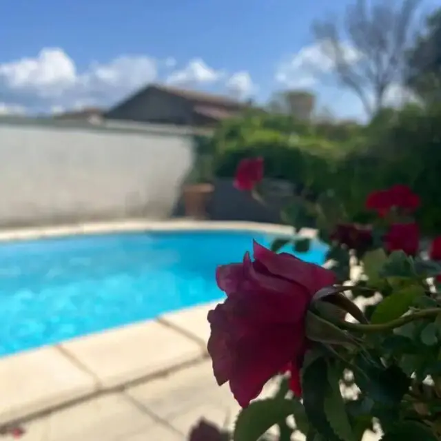 85985e04-3027-4d84-b7fa-d01ddcc4f6b9