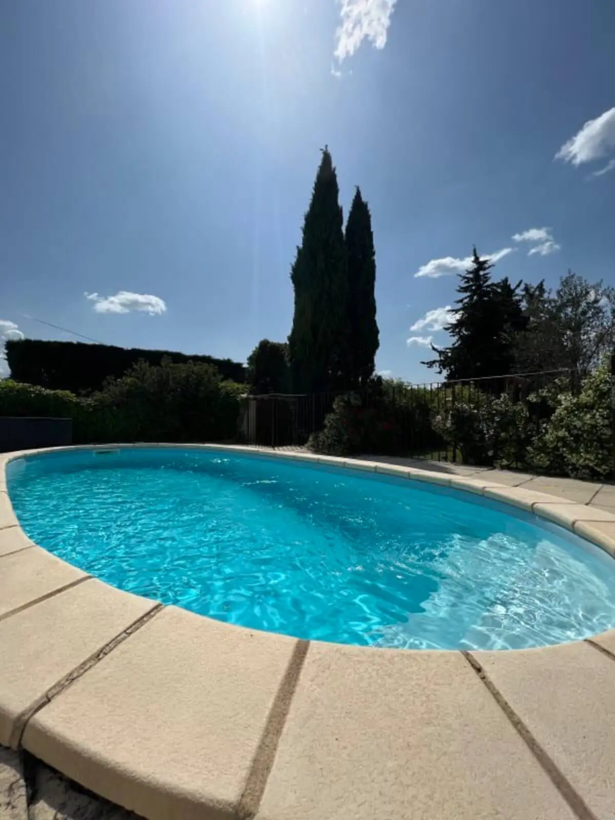 La piscine ovale sous le ciel bleu, bordée de cyprès