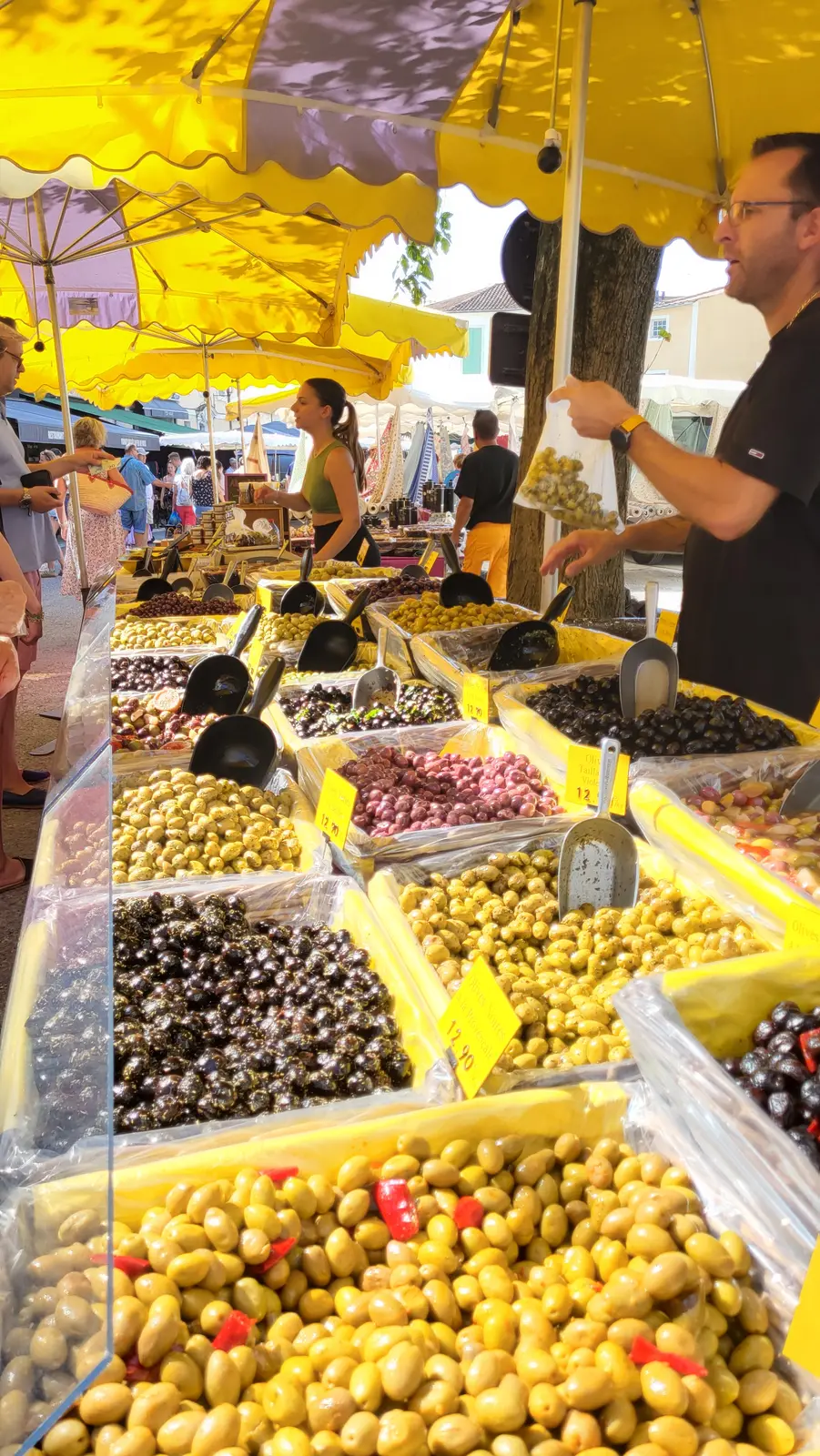 Des olives de toutes sortes