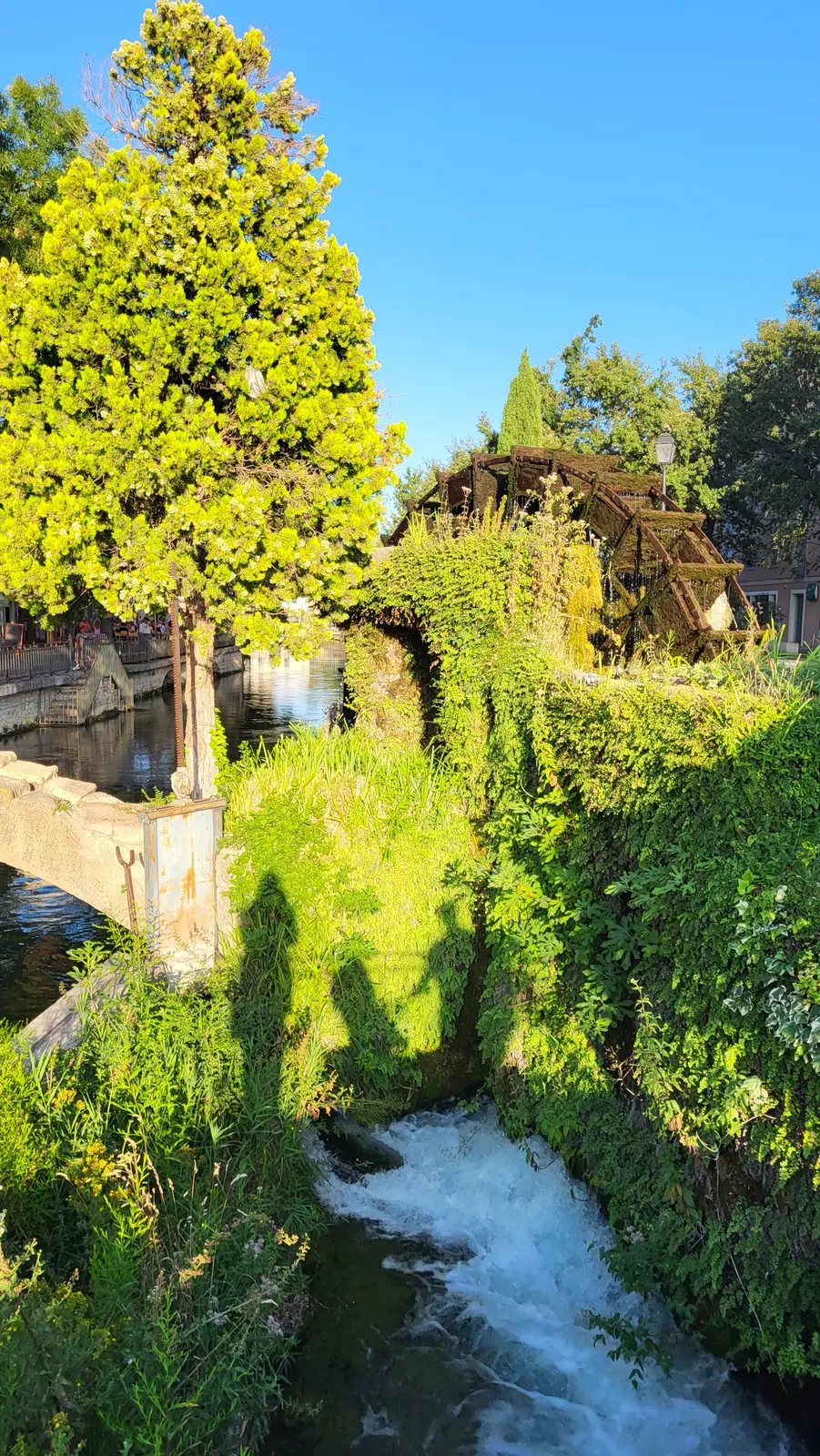 Une roue à aube sur la Sorgue, dans la lumière du soir