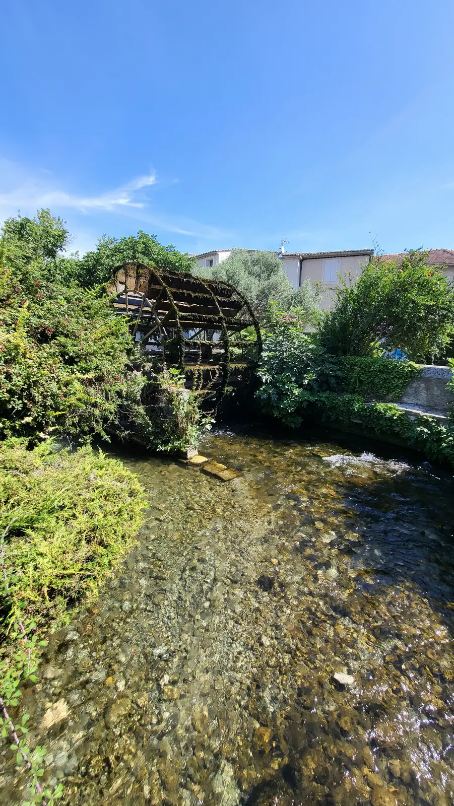 Une roue à aube couverte de mousse sur la Sorgue